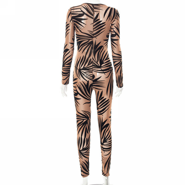 LOOK 616