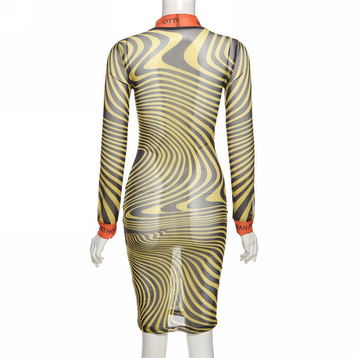 LOOK 243